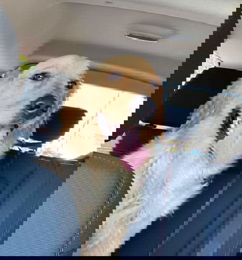 Duke
