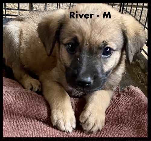 River/Tater