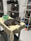 Finley - Photo 1