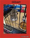 adoptable Cat in kewanee, IL named Gilbert