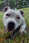 Taja - Photo 1