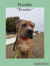 Franklin - Photo 2