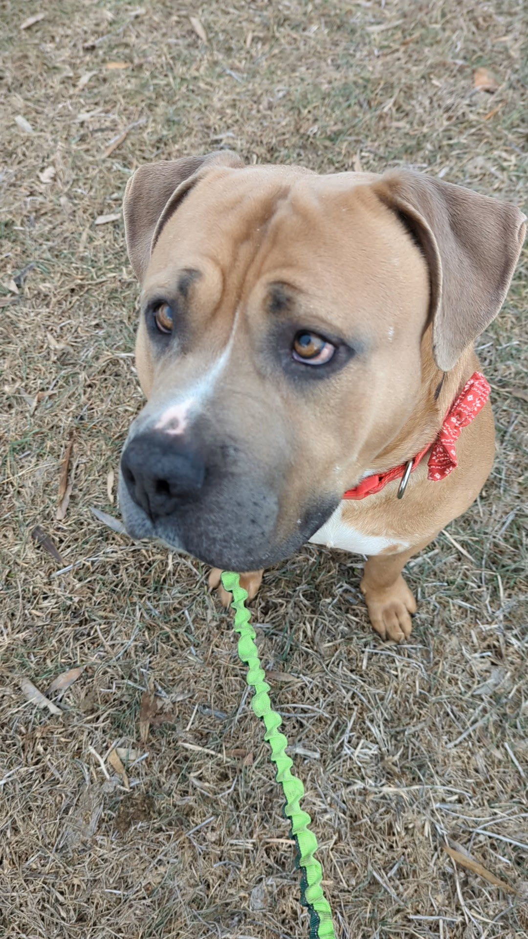 Franklin Image