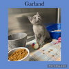 Louise one- Garland - Photo 1