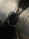 Starlight - Photo 2
