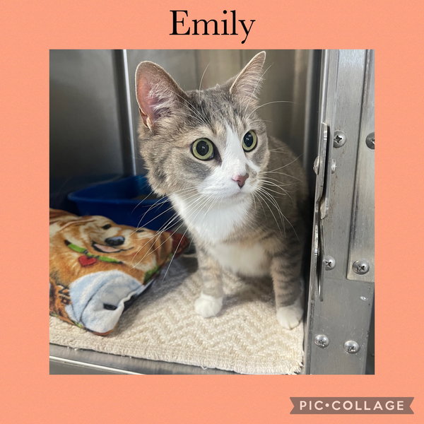 Emily