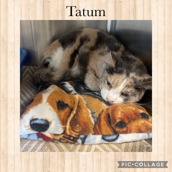 Tatum