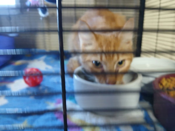 Benny