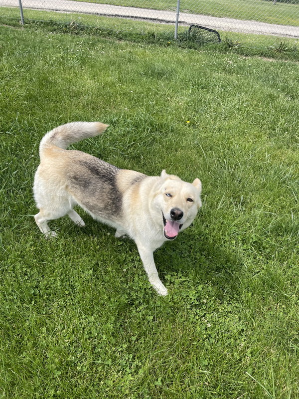 Skye