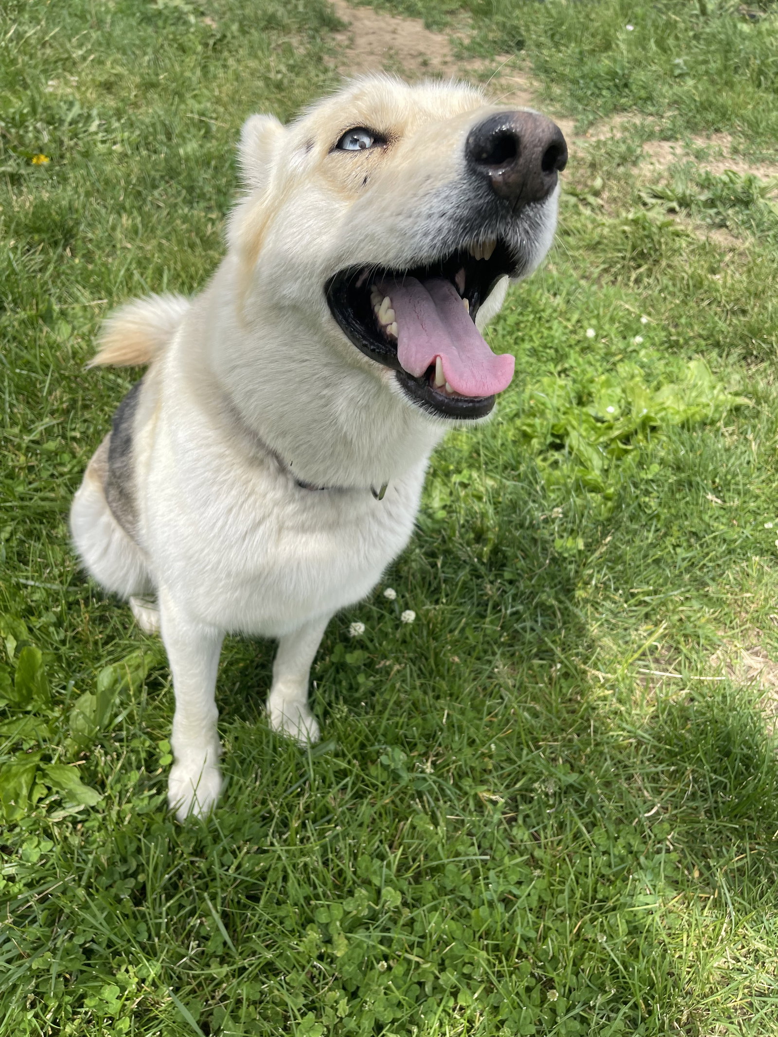 Skye