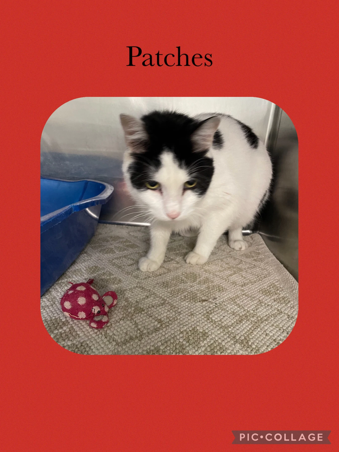 Patches