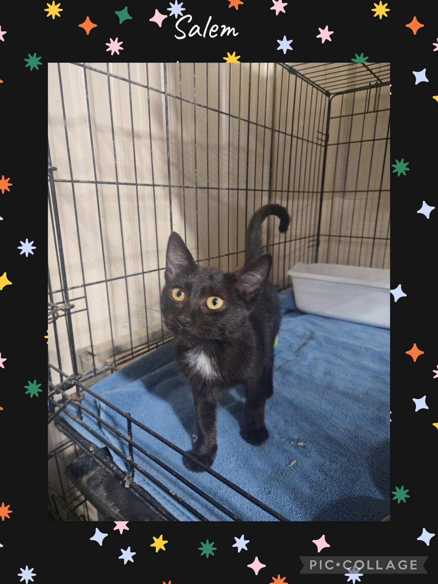 Salem