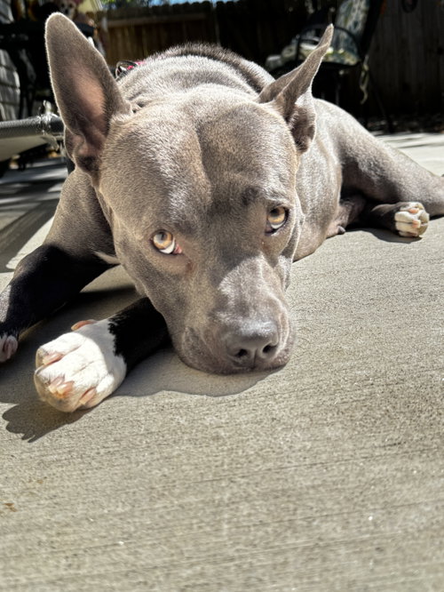 Gigi photo 3