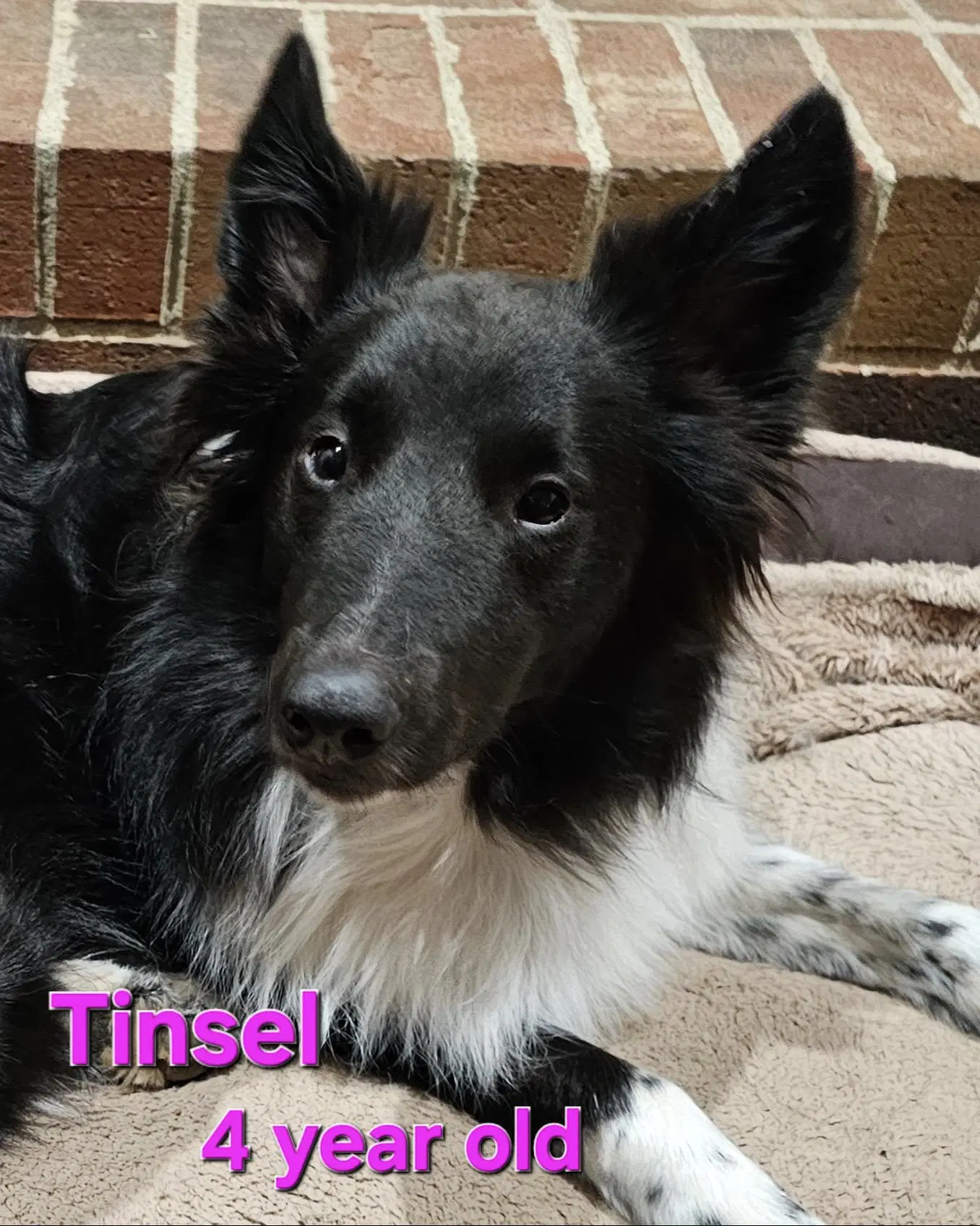 Tinsel image 2