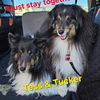 Tucker