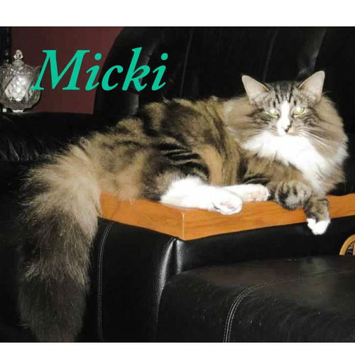 Micki