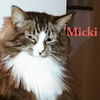 Micki