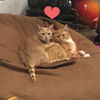 Poppy and Pepsi