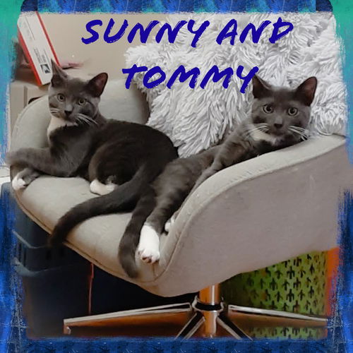 Tommy and Sunny