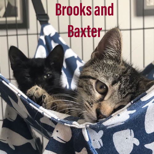 Brooks and Baxter