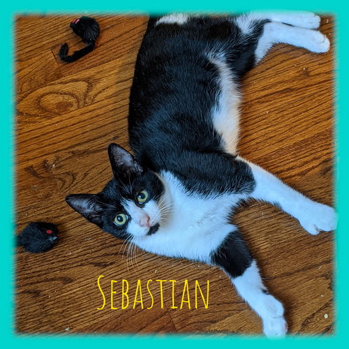 Sebastian