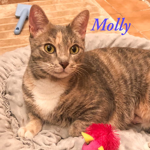 Molly