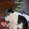 Donnie and Marie