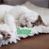 Donnie and Marie