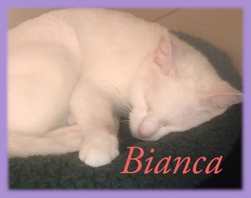 Bianca