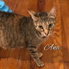 Ana- a sweet friendly former Mama