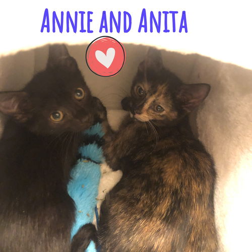 Annie and Anita