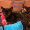 Annie and Anita