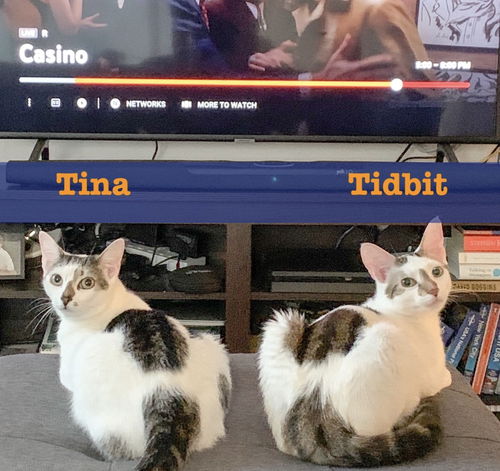 Tidbit and Tina