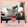 Tidbit and Tina