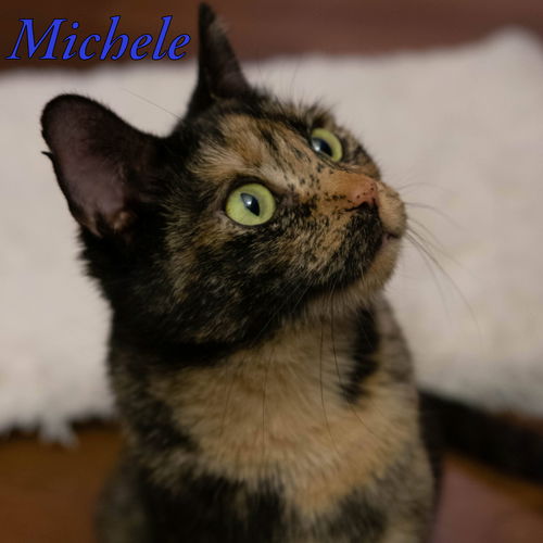 Michele