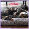 Michele