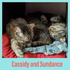 Cassidy and Sundance