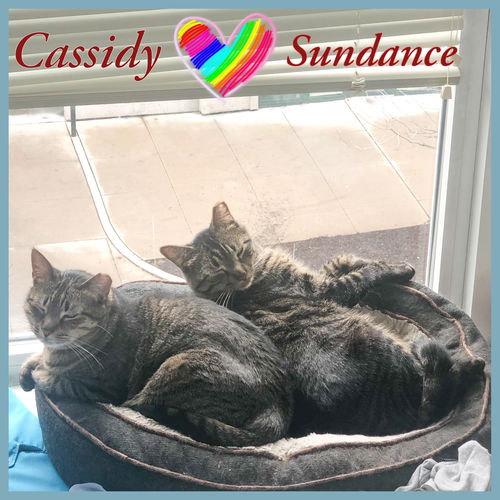 Cassidy and Sundance