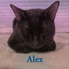 Alex