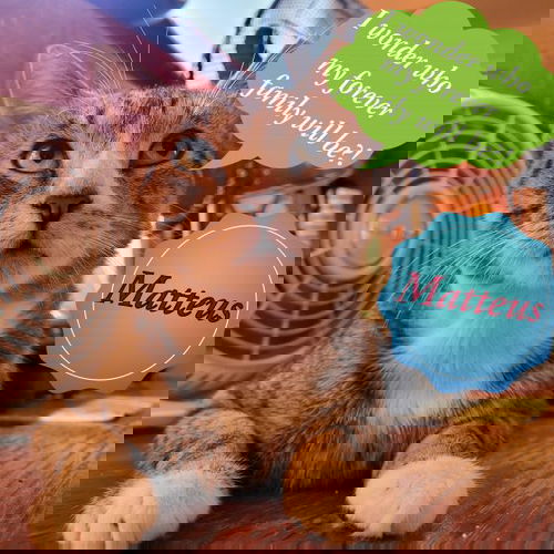 Matteus