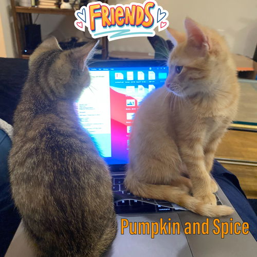 Pumpkin and Spice!
