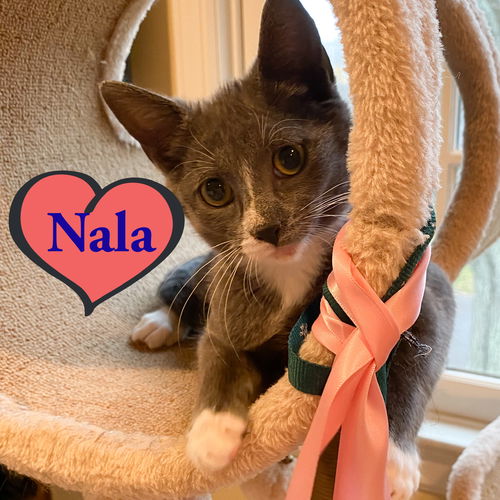 Nala