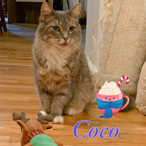 Coco