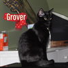 Grover