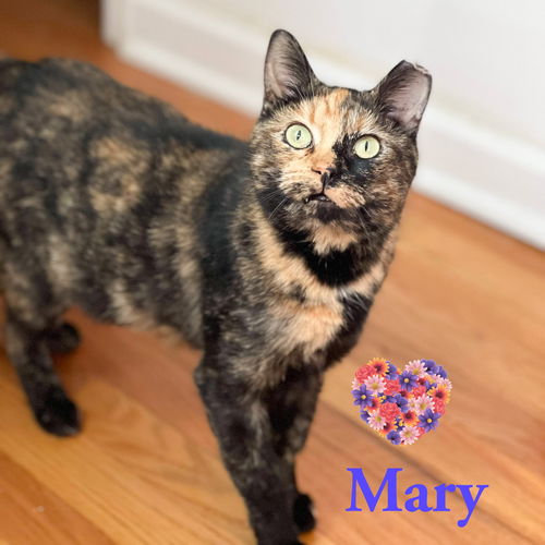 Mary