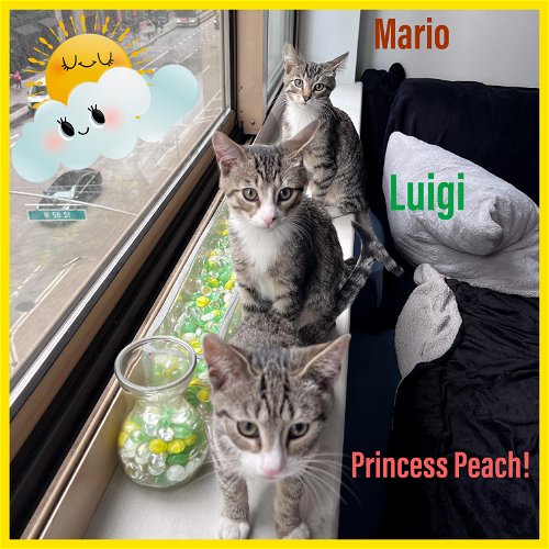 Mario, Luigi , and Princess Peach!