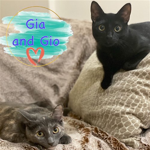 Gia and Gio