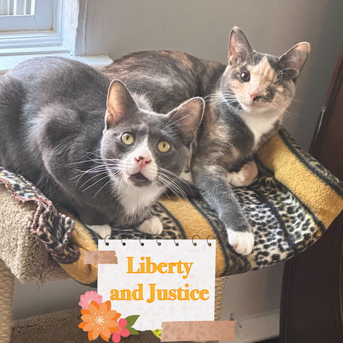 Liberty and Justice