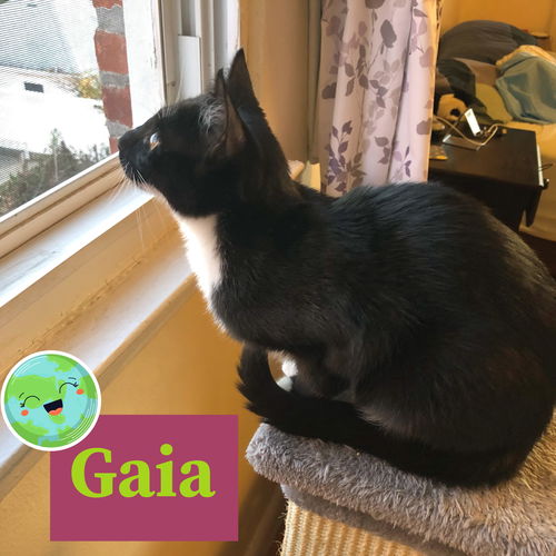 Gaia