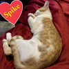 Spike and Willow